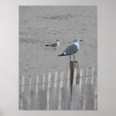 ビーチthrough 25.5 ポスター (正面)