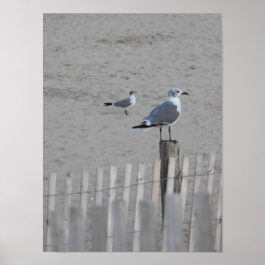 ビーチthrough 25.5 ポスター (正面)