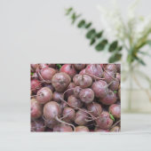 ビーツ ポストカード (スタンド正面)