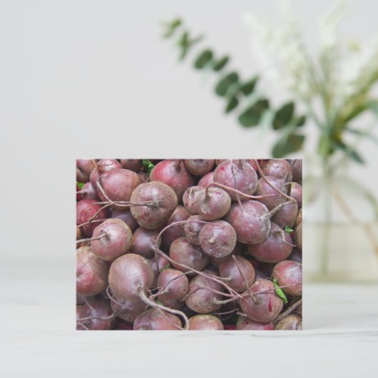 ビーツ ポストカード (スタンド正面)