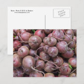 ビーツ ポストカード (正面/裏面)