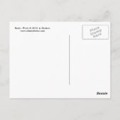 ビーツ ポストカード (裏面)