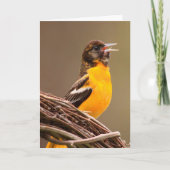 ビートがん卵胞 カード (正面)