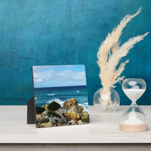 ビートの海 フォトプラーク (インサイチュ)