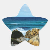 ビートの海 星シール (正面)