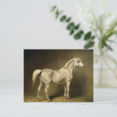 ビートライス ポストカード (スタンド正面)