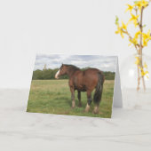 ビートリス – シャイアホースグリーティングカード カード (黄色い花)