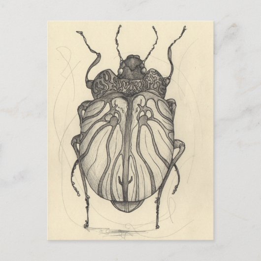 ビートル・バレエ シーズンポストカード (正面)