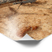 ビートル フォトプリント            (角)