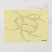 ビートル ポストカード (裏面)