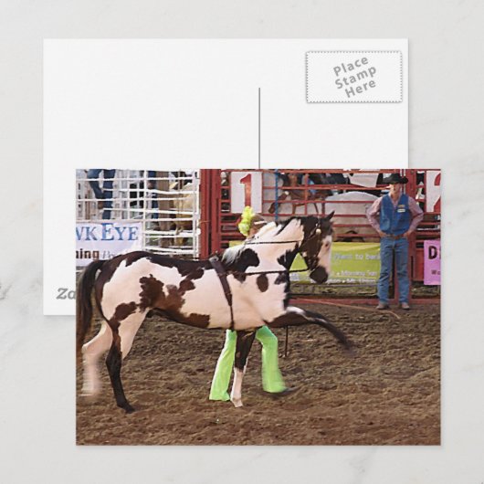 ビート ポストカード (正面/裏面)