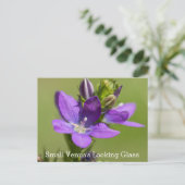 『ビーナスの外見がガラス紫の野草の葉書』 ポストカード (スタンド正面)