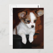 ビーナスの子犬 ポストカード (正面/裏面)