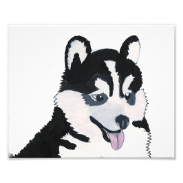 ビーナスアッププリント フォトプリント           