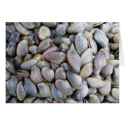 ビーナスカラム[หอยลาย]カード (正面横)