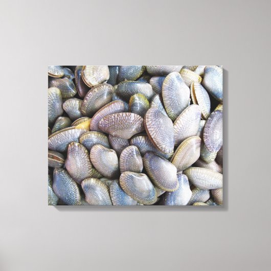 ビーナスクラム[หอยลาย] キャンバスプリント (正面)