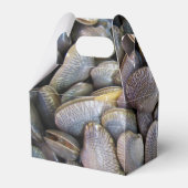 ビーナスクラム[หอยลาย] フェイバーボックス (裏面サイド)