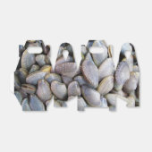 ビーナスクラム[หอยลาย] フェイバーボックス (折り畳みなし)