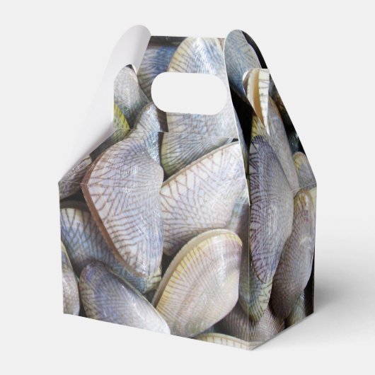 ビーナスクラム[หอยลาย] フェイバーボックス (正面サイド)