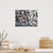 ビーナスクラム[หอยลาย] ポスター (キッチン)