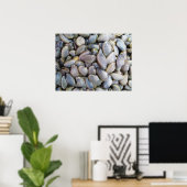 ビーナスクラム[หอยลาย] ポスター (ホームオフィス)