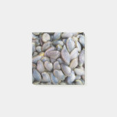 ビーナスクラム[หอยลาย] ポストイット (正面)