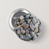 ビーナスクラム[หอยลาย] 缶バッジ (正面&裏面)