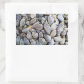 ビーナスクラム[หอยลาย] 長方形シール (バッグ)