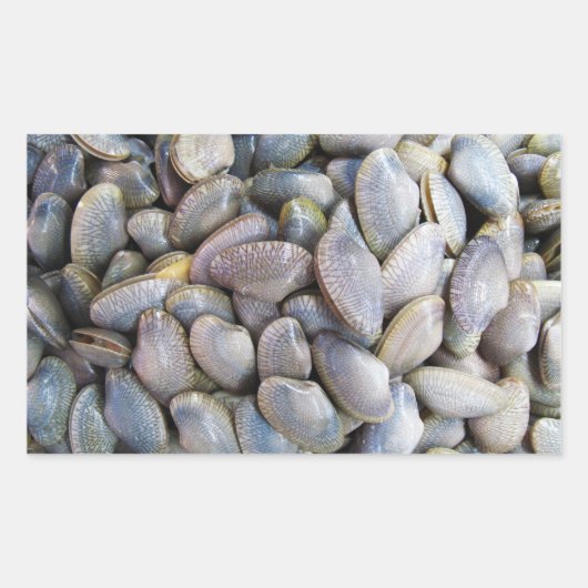 ビーナスクラム[หอยลาย] 長方形シール (正面)