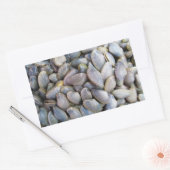 ビーナスクラム[หอยลาย] 長方形シール (封筒)