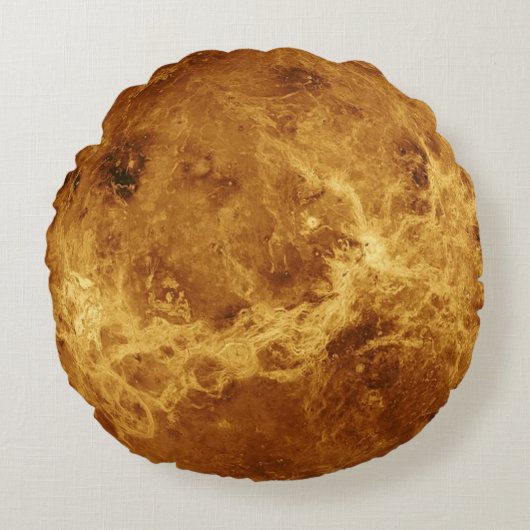 ビーナスグローブラウンドピロー ラウンドクッション (正面)