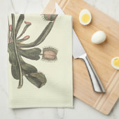 ビーナスフライトラップ植物学イラストレーション キッチンタオル (四つ折り)