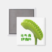 ビーナスフライトラップ マグネット (正面/裏面)