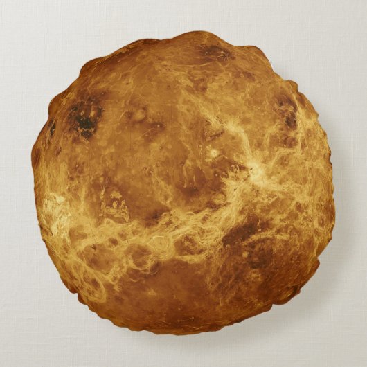 ビーナスプラネットフォト太陽の宇宙システム愛の情熱 ラウンドクッション (裏面)