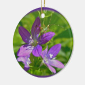 ビーナス探しガラスの野花とバッタ セラミックオーナメント (左)