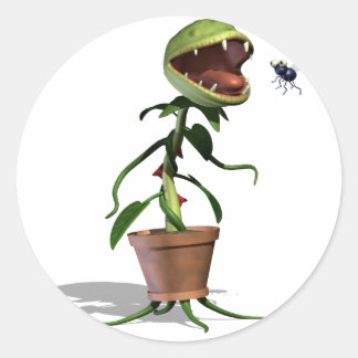 ビーナス・フライ・トラップ ラウンドシール