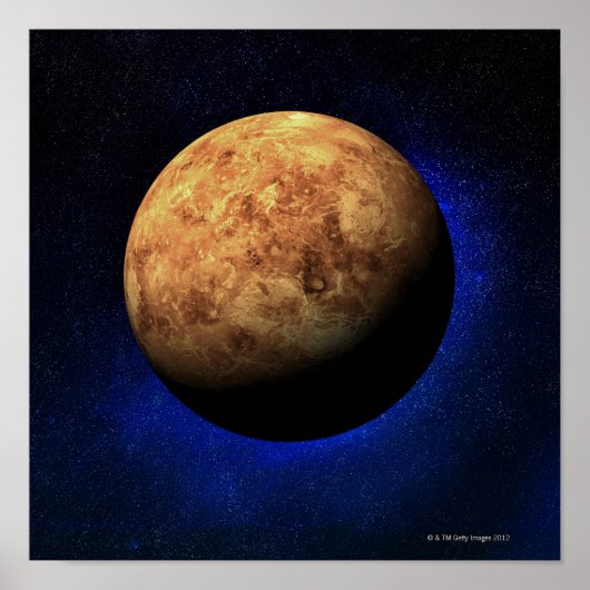 ビーナス ポスター (正面)