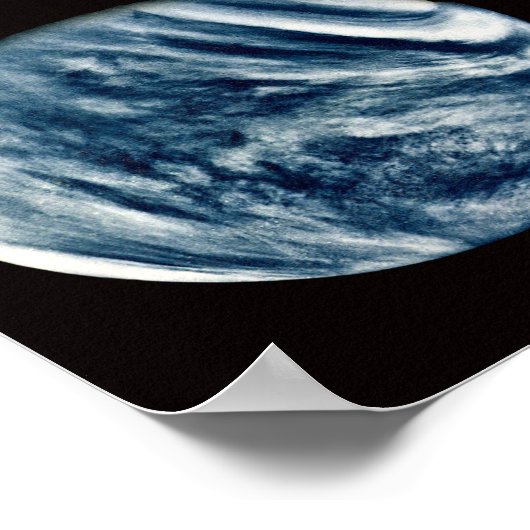 ビーナス ポスター (角)