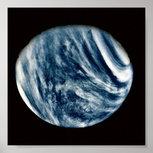 ビーナス ポスター (正面)