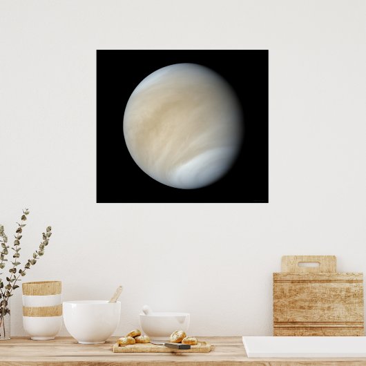 ビーナス ポスター (キッチン)