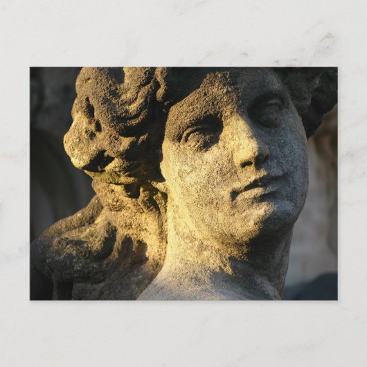 ビーナス ポストカード (正面)