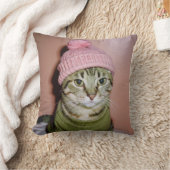 ビーニーのクッションに入った猫 クッション (ブランケット)