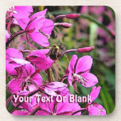 ビーニース コースター (正面)