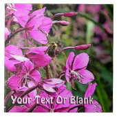 ビーニース タイル (正面)