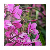 ビーニース タイル (正面)