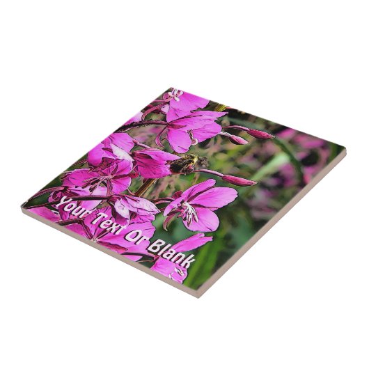 ビーニース タイル (側面)