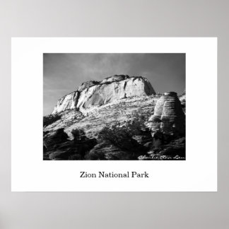 ビーハイブとモノリス ポスター