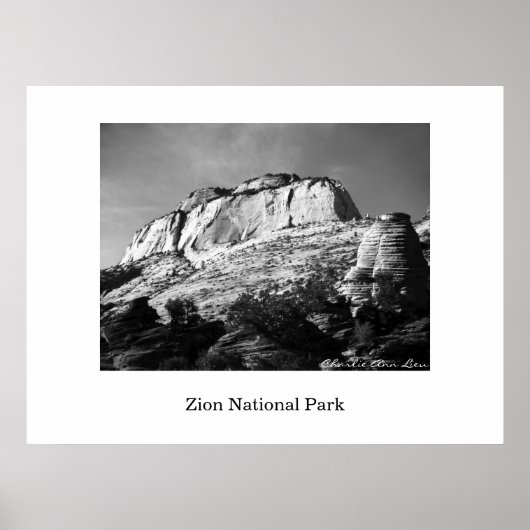 ビーハイブとモノリス ポスター (正面)