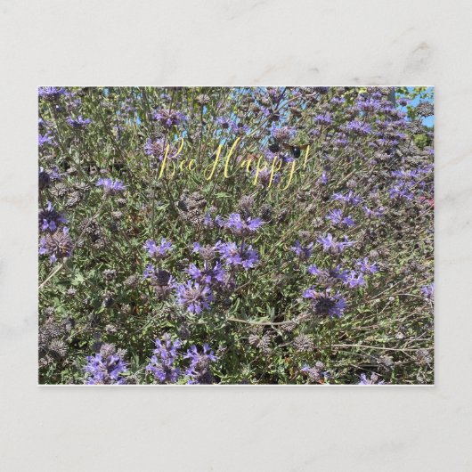 ビーハッピー!クリーブランドセージポストカード ポストカード (正面)