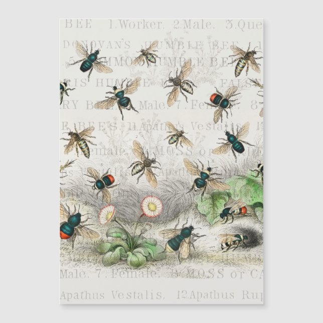 ビーハニーワーカークイーンビーズアンティーク (正面)